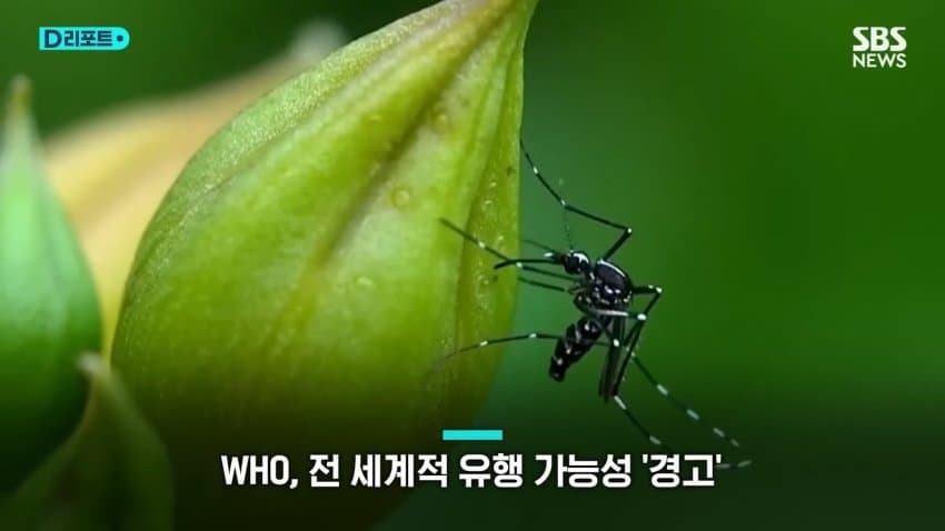 DC Inside 이미지 10