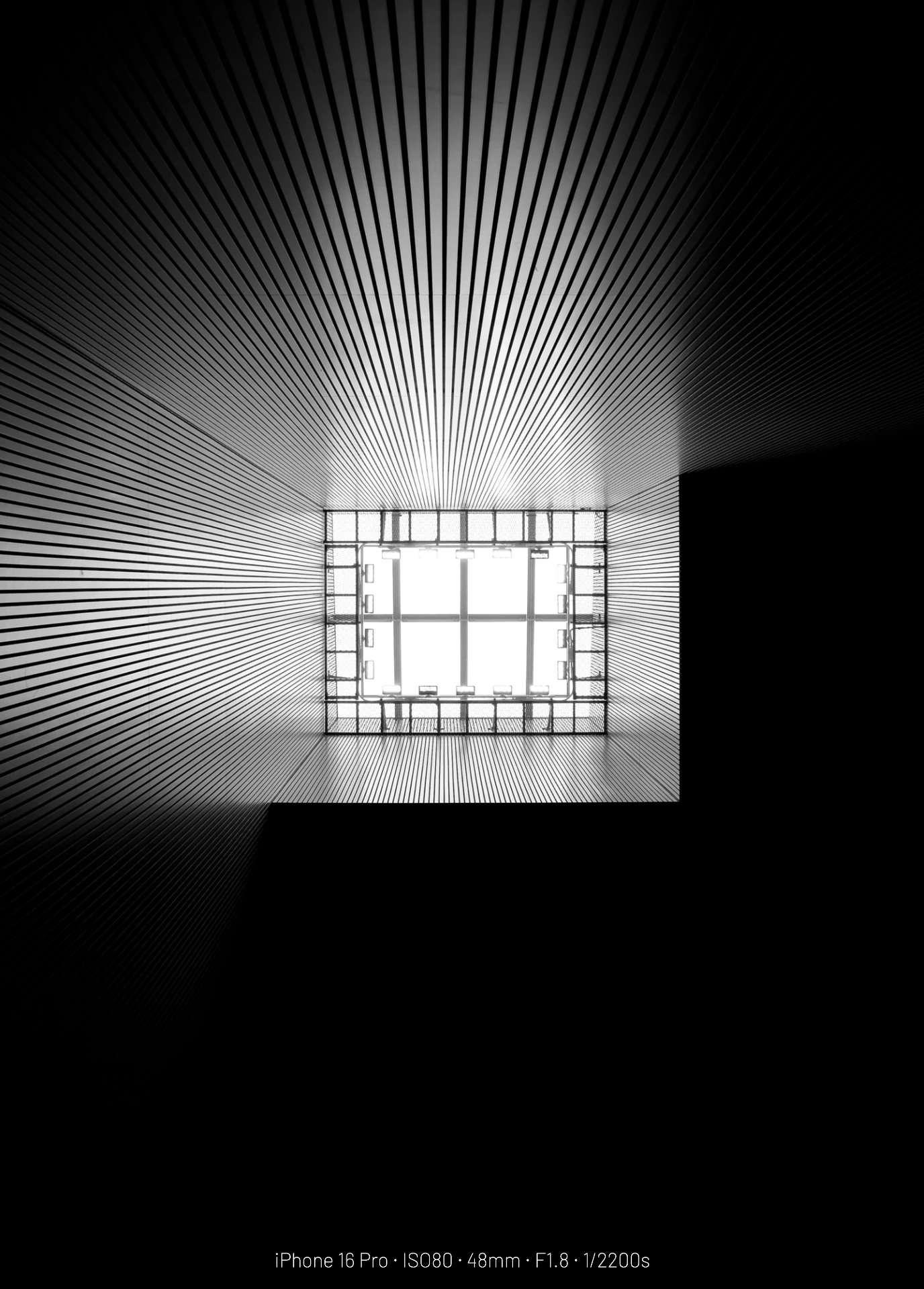 DC Inside 이미지 9
