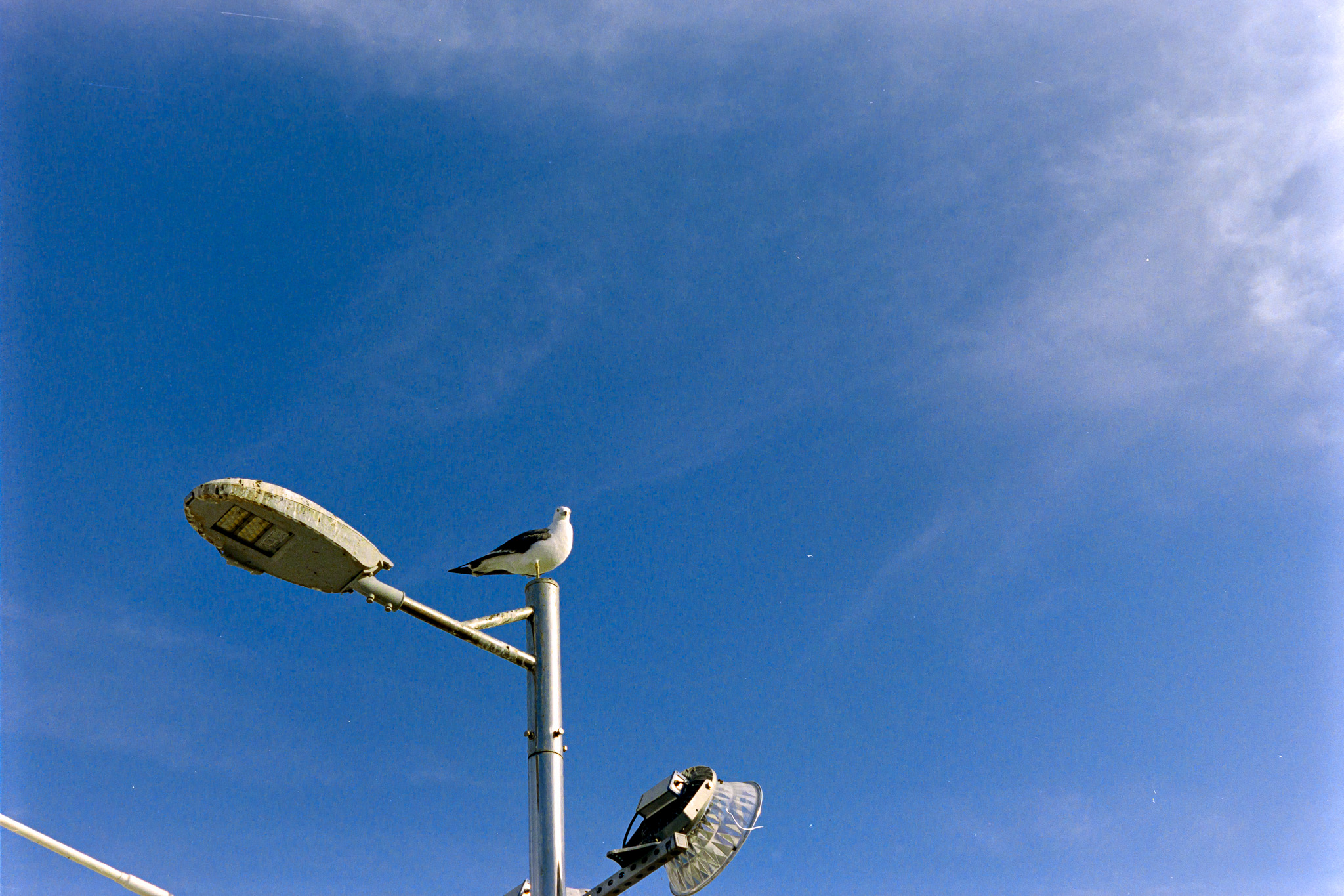 DC Inside 이미지 7