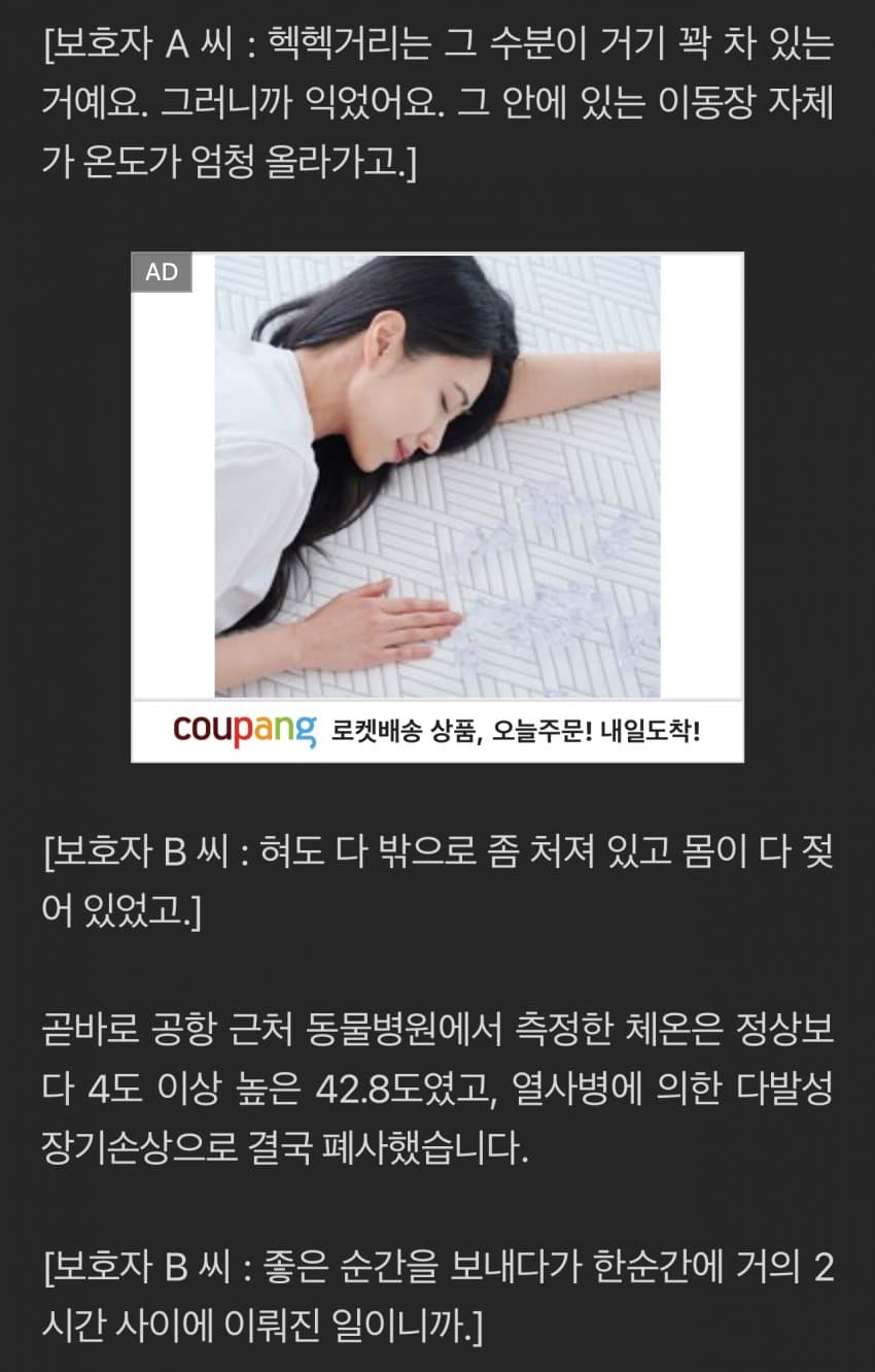 DC Inside 이미지 4