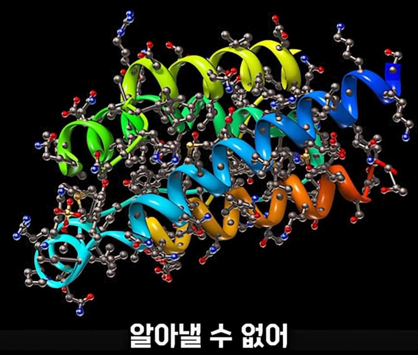 DC Inside 이미지 16