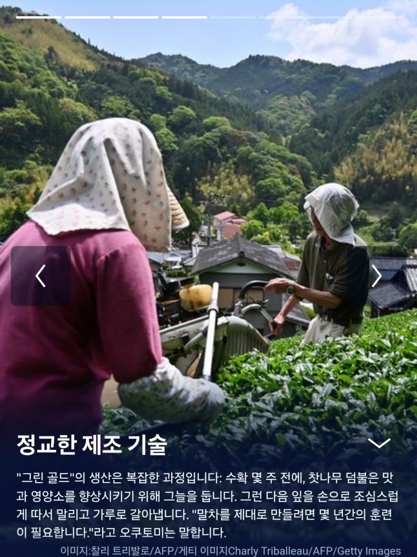 DC Inside 이미지 6