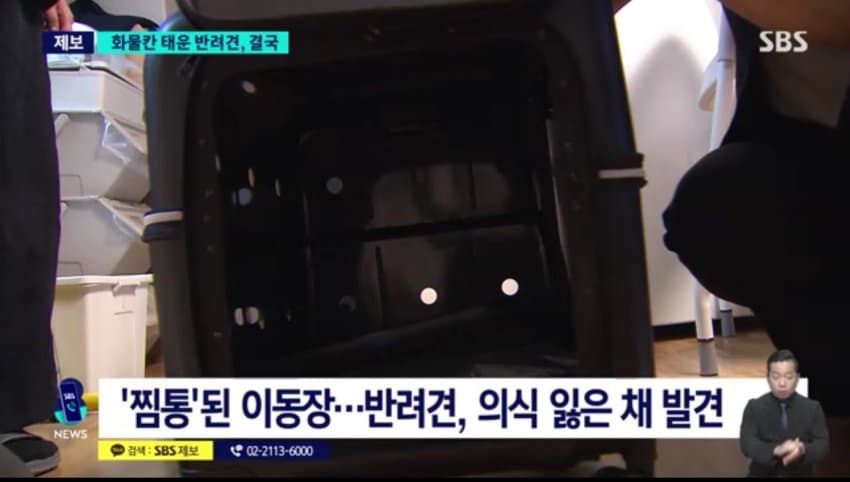 DC Inside 이미지 12