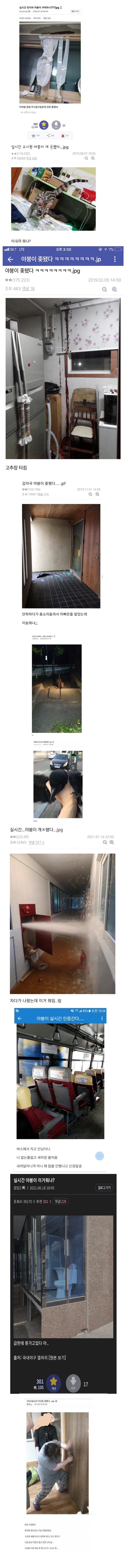 DC Inside 이미지 3
