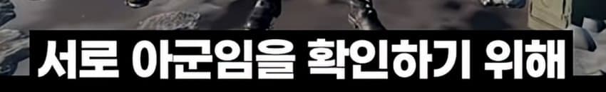 DC Inside 이미지 17