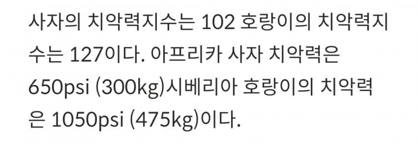 DC Inside 이미지 2