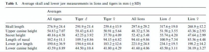 DC Inside 이미지 1