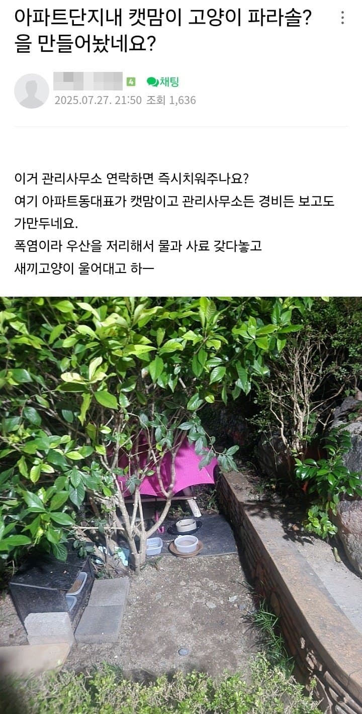 [냥갤] [스압] 캣맘 문제에 이해와 공감을 보이는 캣맘들의 아름다운 마음씨