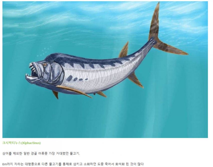 [이갤] 고대 바다 속 거대 괴물들