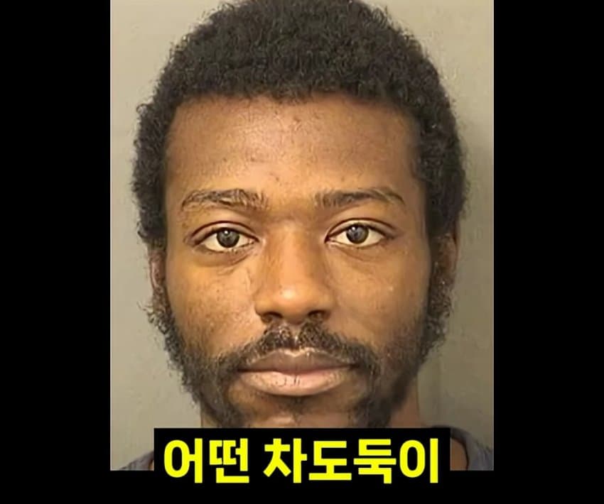 [이갤] 최소한의 양심은 있었던 차도둑.jpg