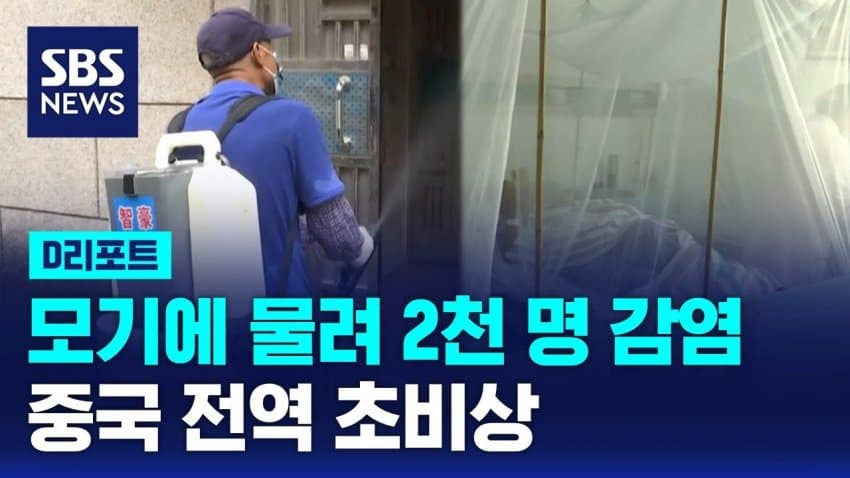 [대갤] 中, 치쿤구니아 열병 확산에 비상… 백신도 치료제도 없어