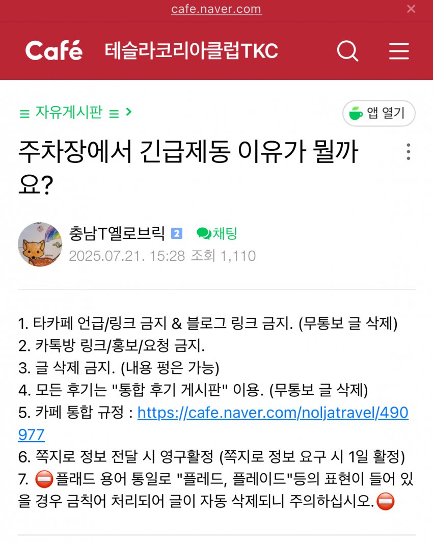 [자갤] [정보] 테슬라, 심각한 지하주차장 긴급제동 오작동 문제