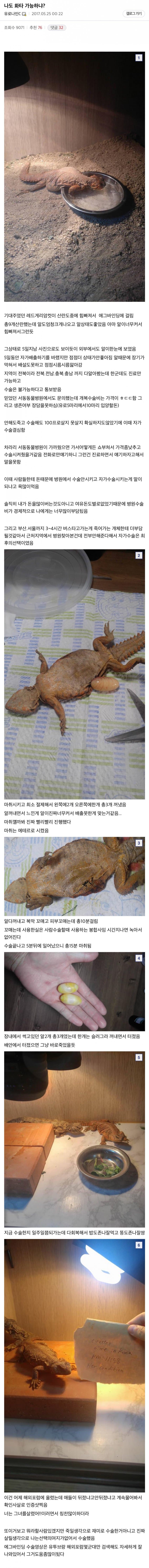 [싱갤] 싱글벙글 디씨인사이드 전설의 수의사들.jpg