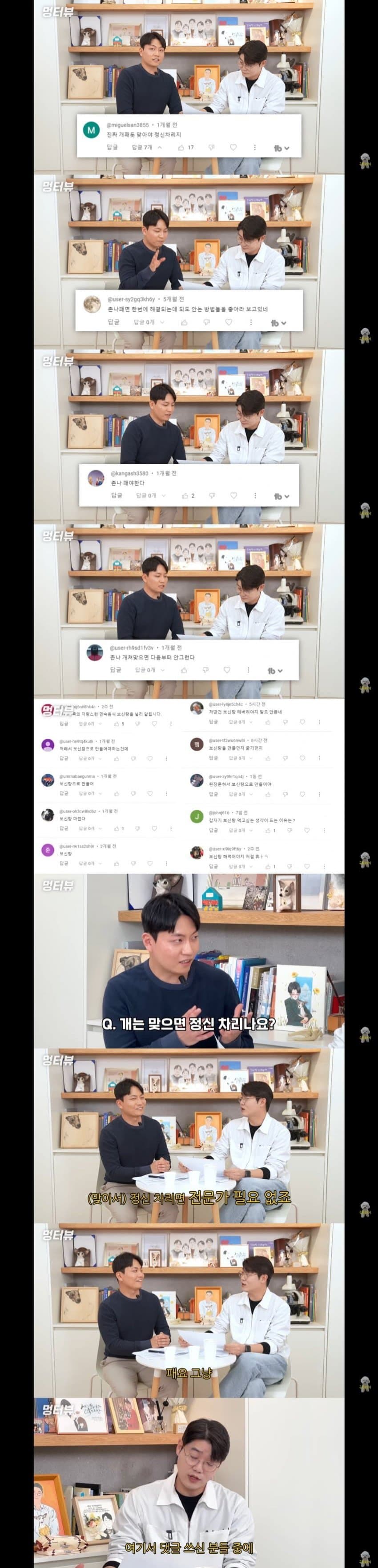 [싱갤] 싱글벙글 “개를 패면 정신차리나요?” 전문가의 답변
