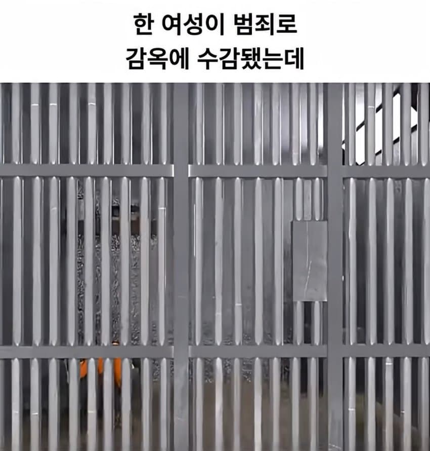 DC Inside 이미지 1