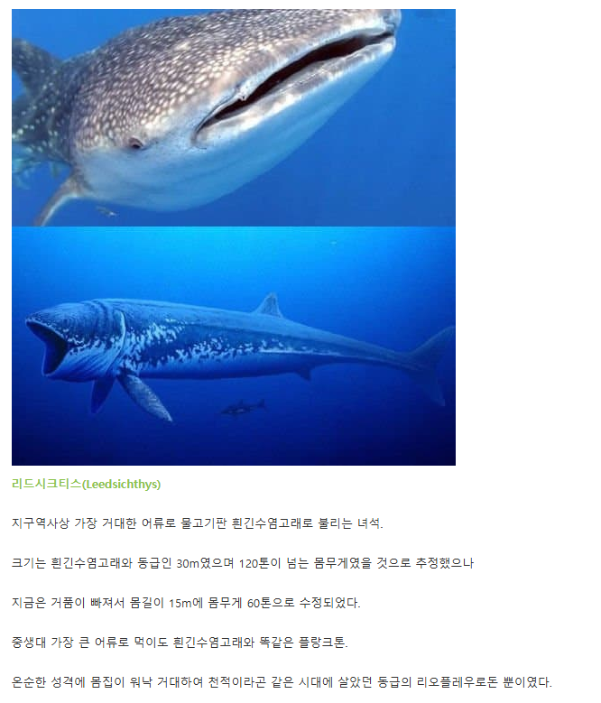 DC Inside 이미지 7