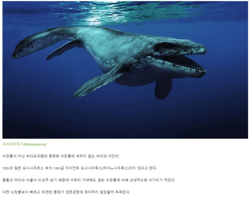 DC Inside 이미지 9