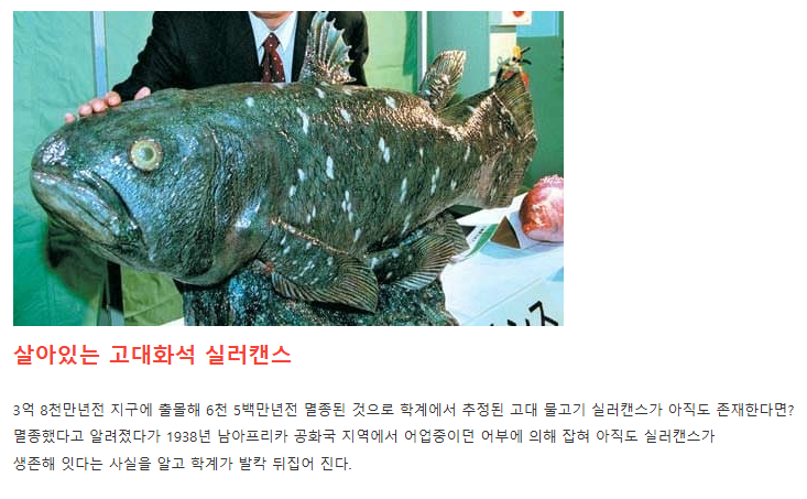 DC Inside 이미지 10