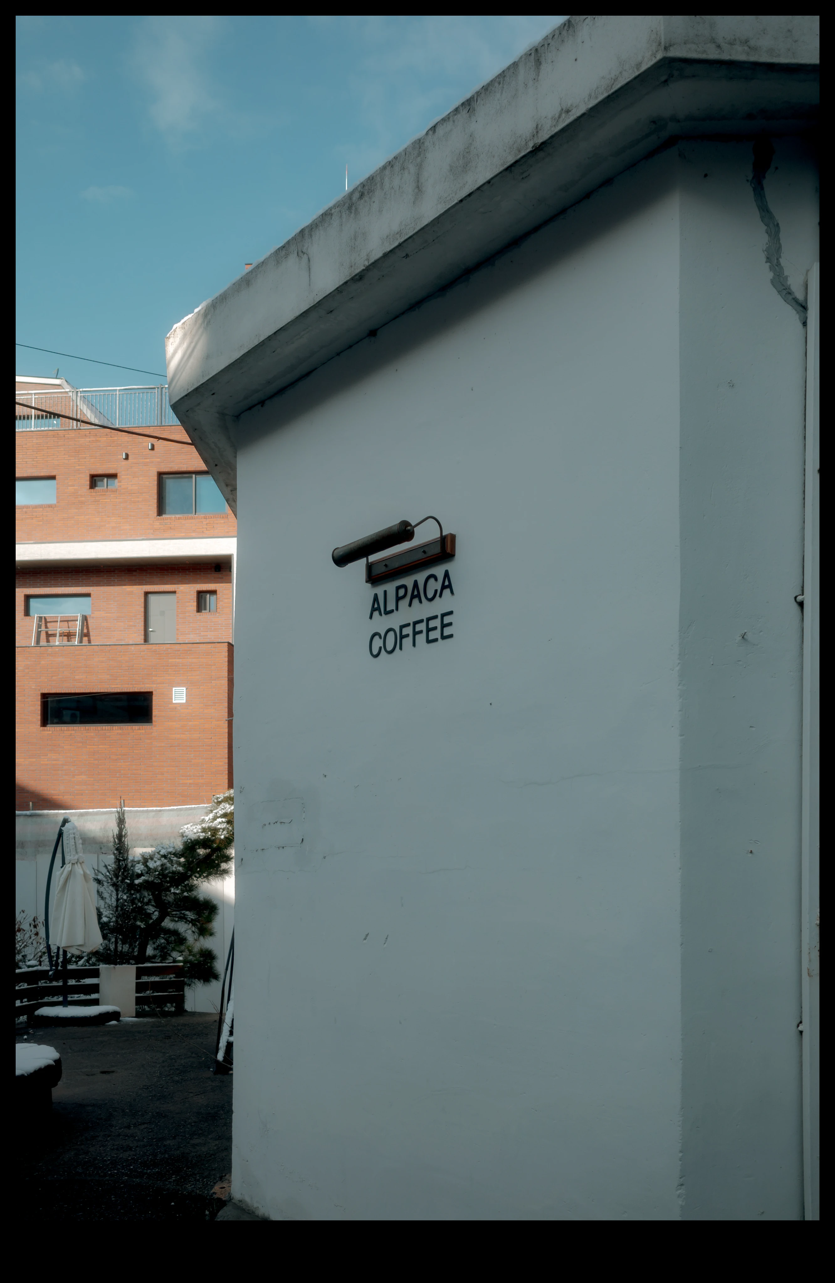 DC Inside 이미지 1