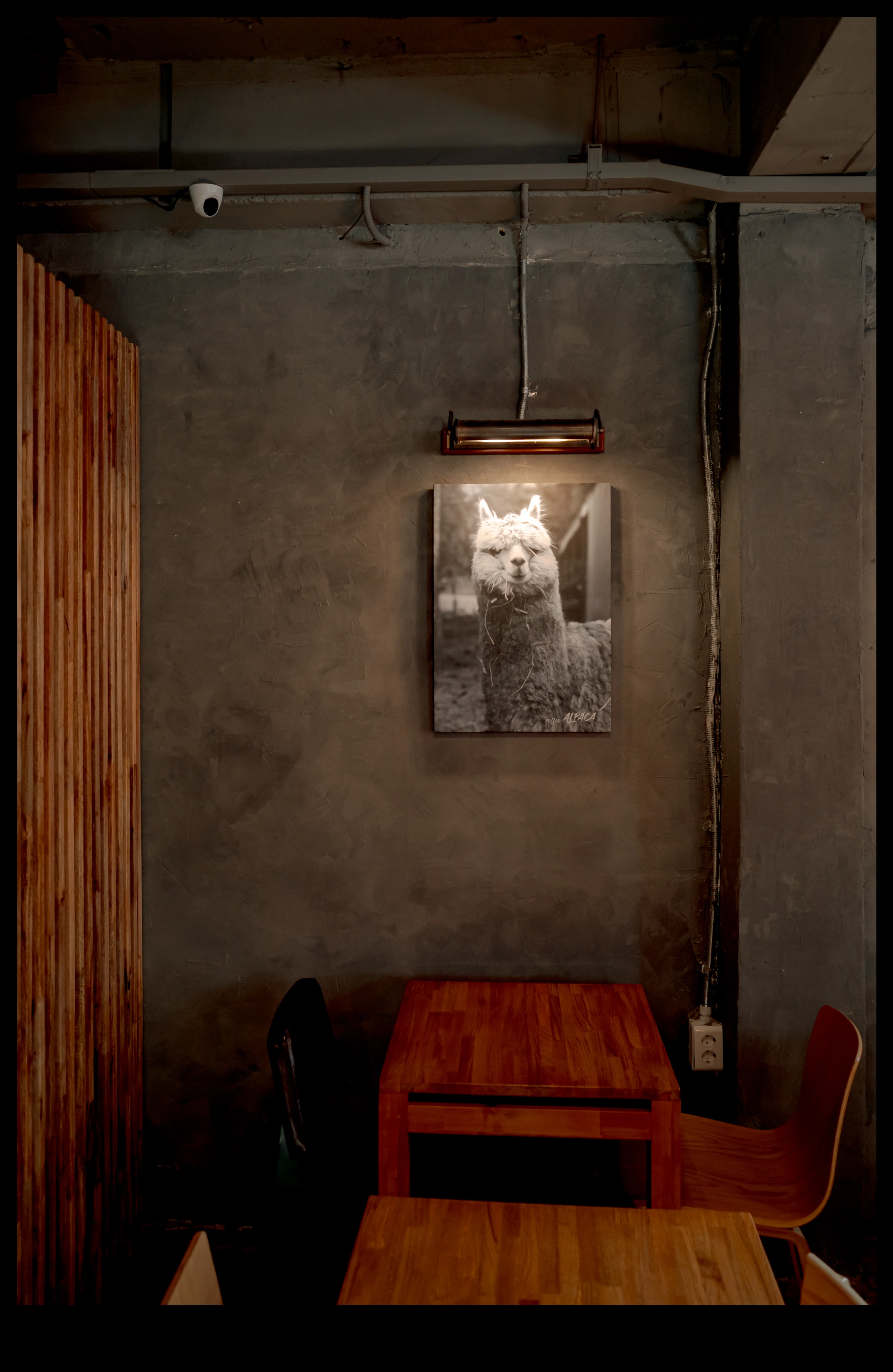 DC Inside 이미지 2