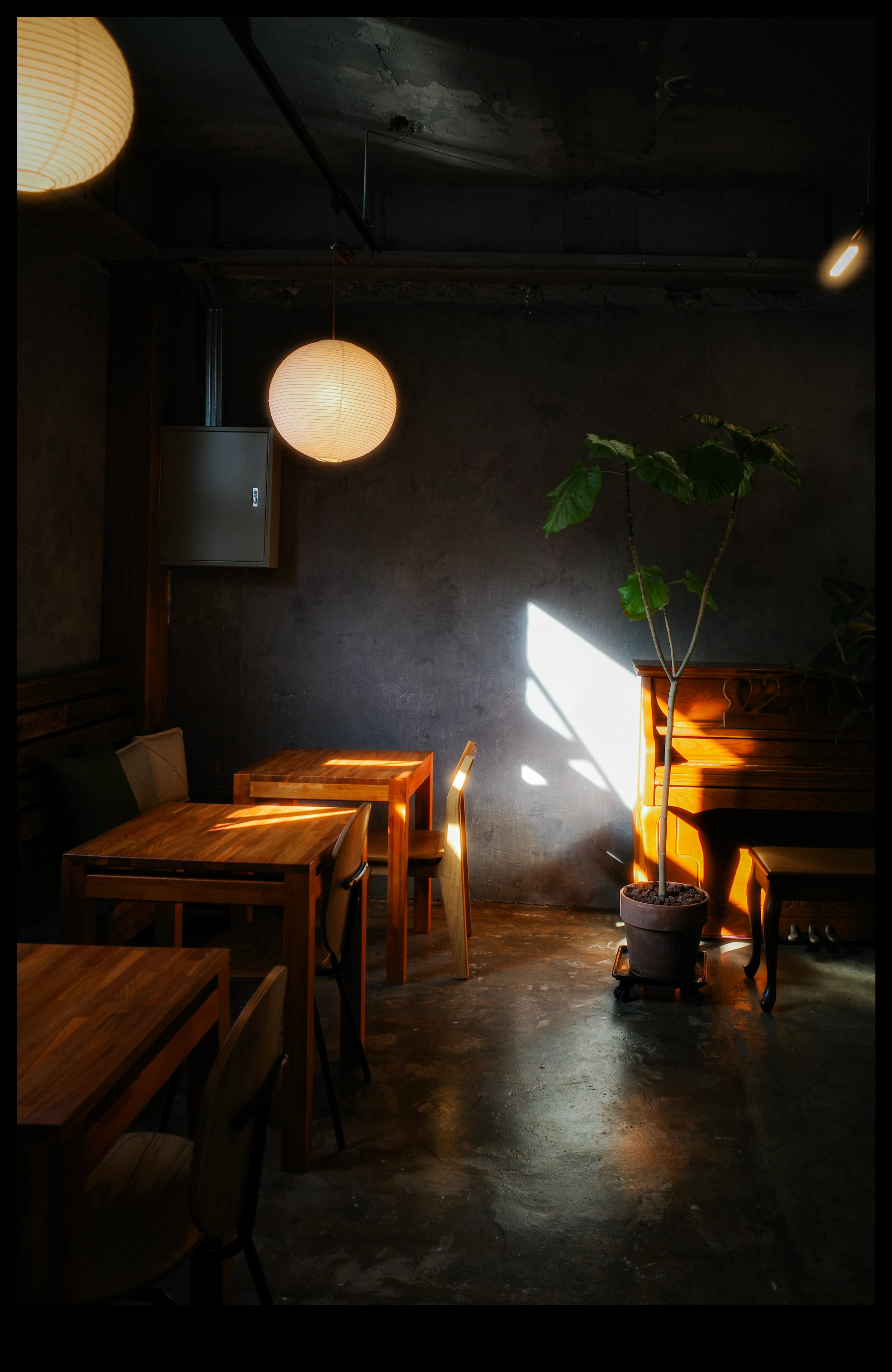 DC Inside 이미지 6