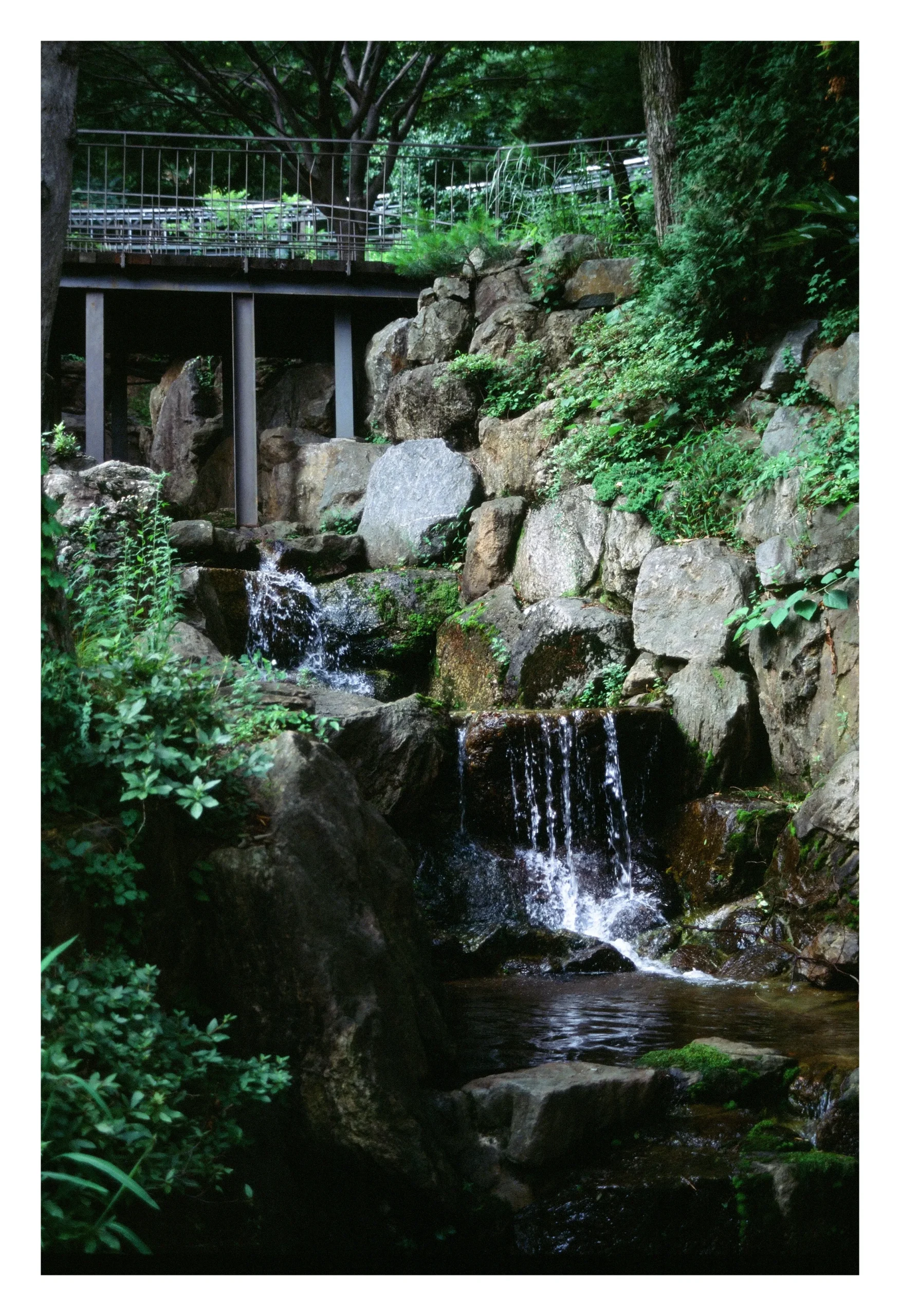 DC Inside 이미지 4
