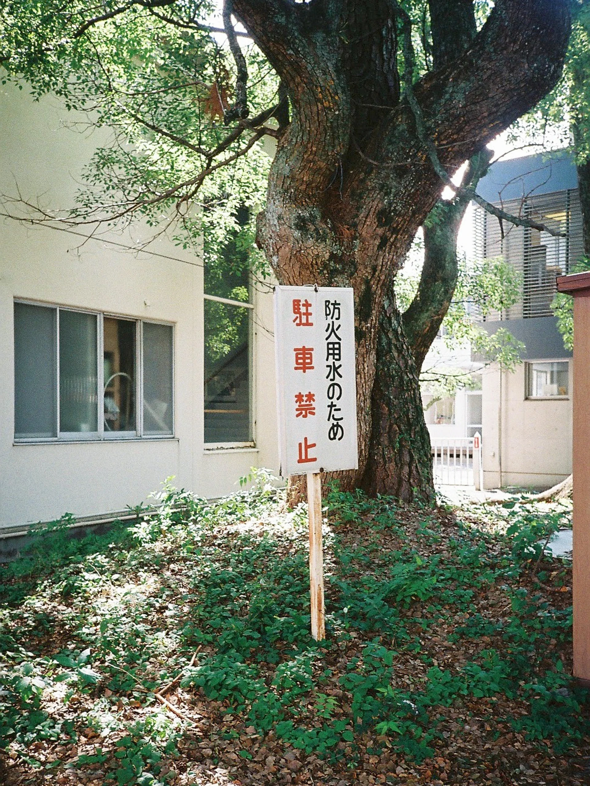 DC Inside 이미지 8