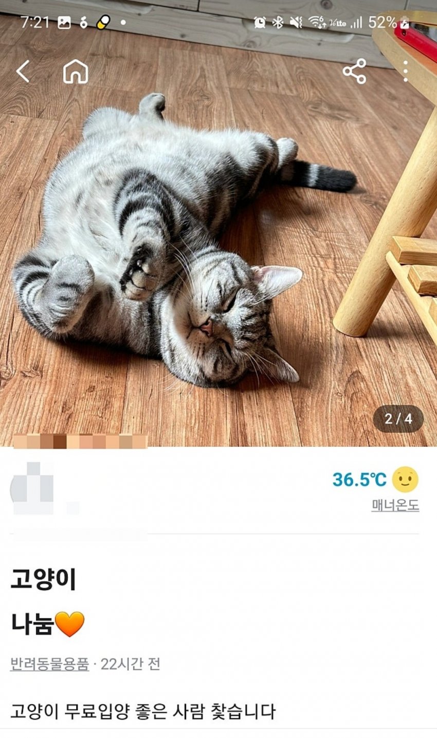 DC Inside 이미지 2