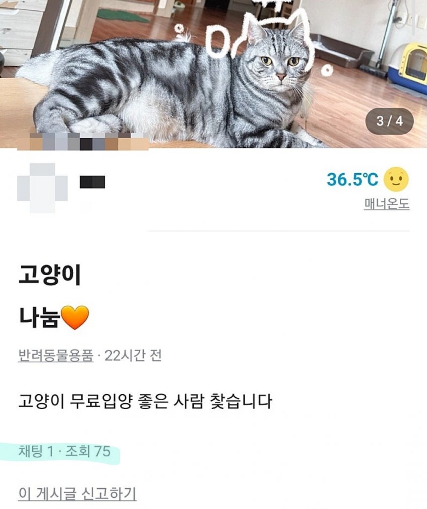 DC Inside 이미지 3