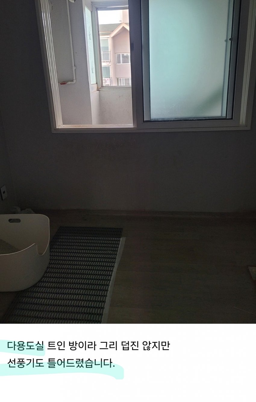 DC Inside 이미지 7
