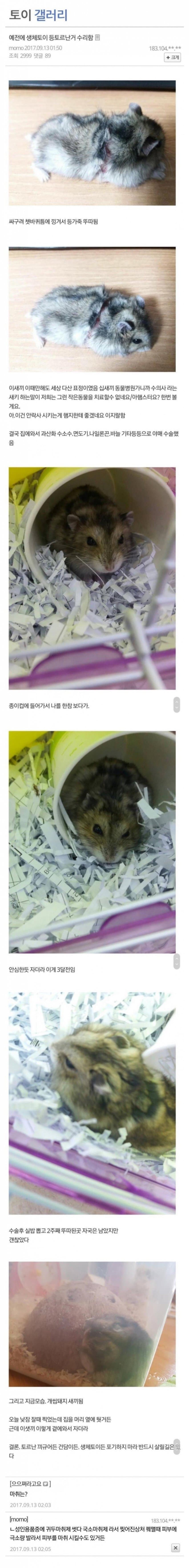 DC Inside 이미지 2