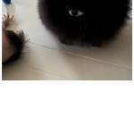 정체불명 외눈 생명체 ㄷㄷ