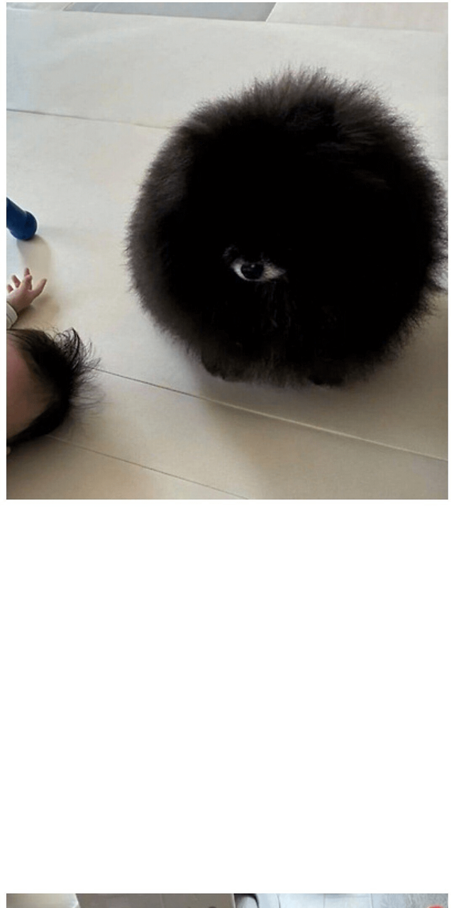 정체불명 외눈 생명체 ㄷㄷ