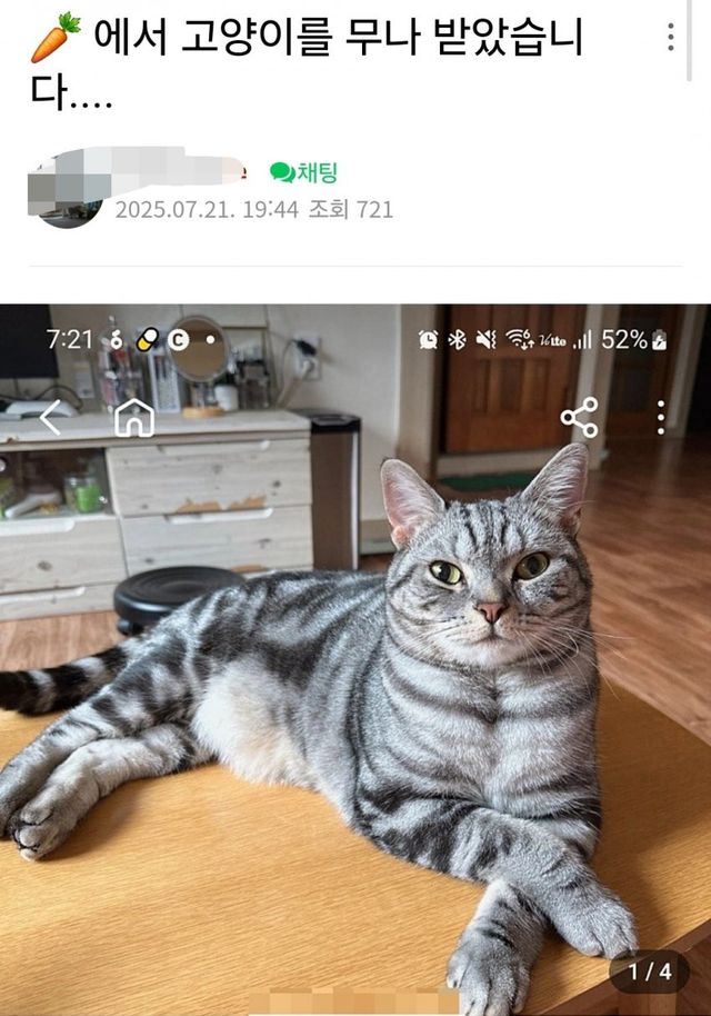 ㄷㄱ에서 고양이 무료분양 받은 회원