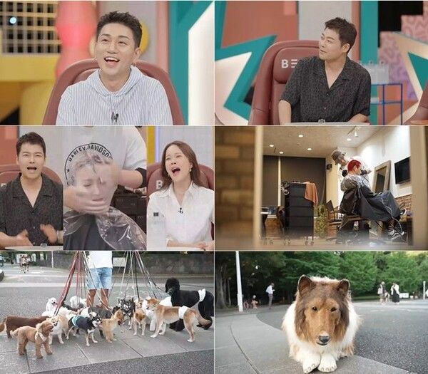 32마리 개를 동시 산책시키는 男…어떻게
