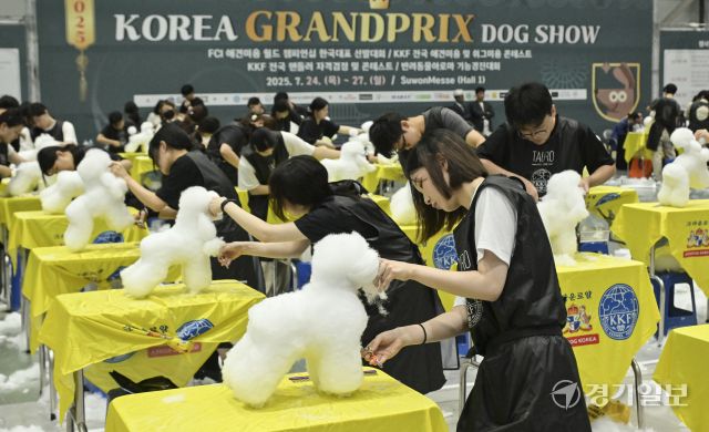 2025 코리아 그랑프리 도그쇼 애견 미용에 집중하는 참가자들 [포토뉴스]