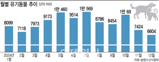 가족이라던 멍냥이..매일 293마리 버림받는다