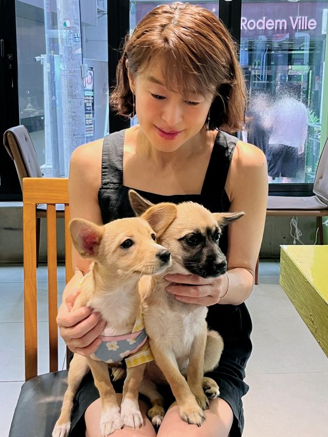 예지원 산불 피해 현장서 구조한 강아지와 기적 같은 상봉