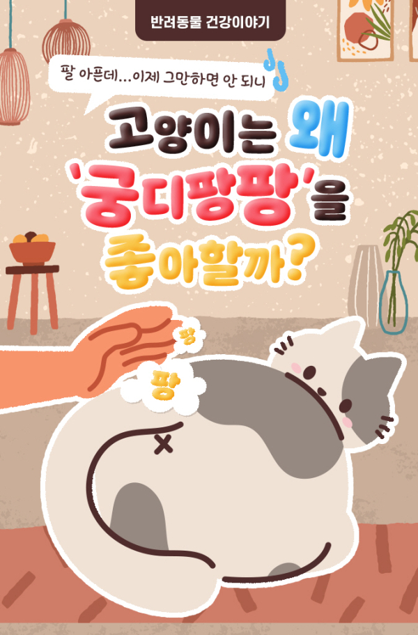 [반려동물 건강이야기] 고양이는 왜 ‘궁디팡팡’을 좋아할까?