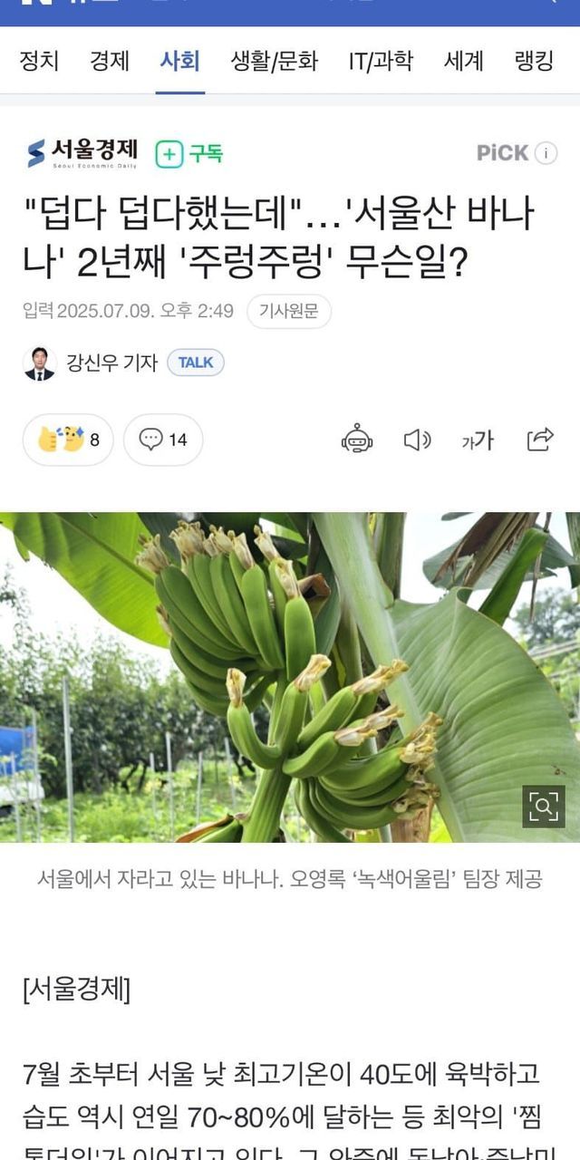 ‘서울산 바나나  이게 되네 ㅋㅋㅋㅋㅋㅋㅋ