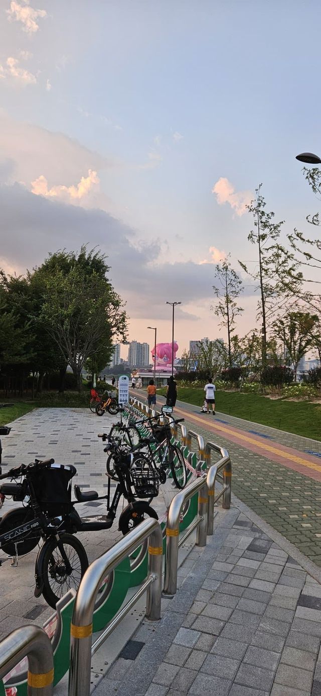 한강 도로롱 보고왔다!