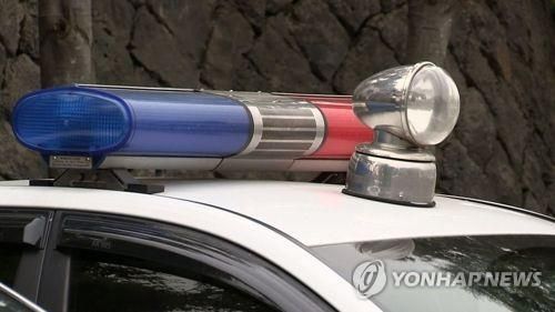 입양한 고양이들 상습 학대…경찰 40대 입건
