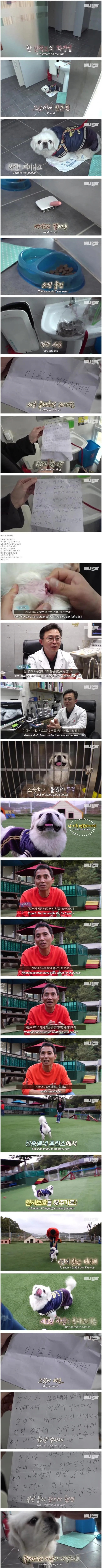 산책로 화장실에서 발견된 한 강아지.  jpg