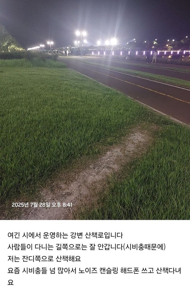 산책하던 견주한테 시비거는 캣맘들