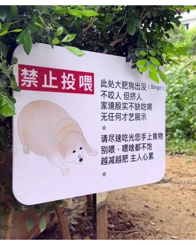 강아지 먹이 주지 마세요