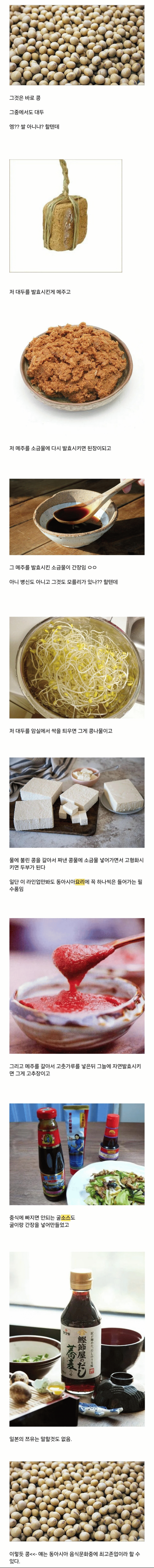 동아시아에서 가장 중요한 식재료