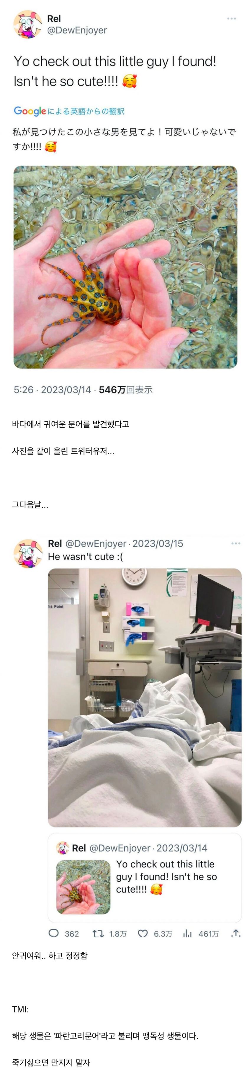 바다에서 귀여운 생물을 발견한 한 트위터 유저.jpg