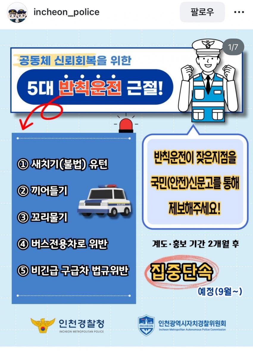 9월부터 집중 단속 한다는 것.