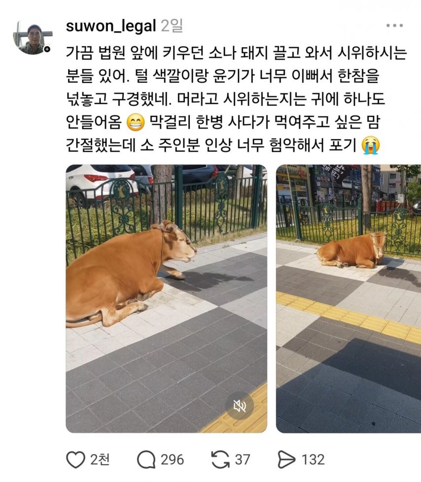 변호사가 법원 앞에서 구경하는거.jpg