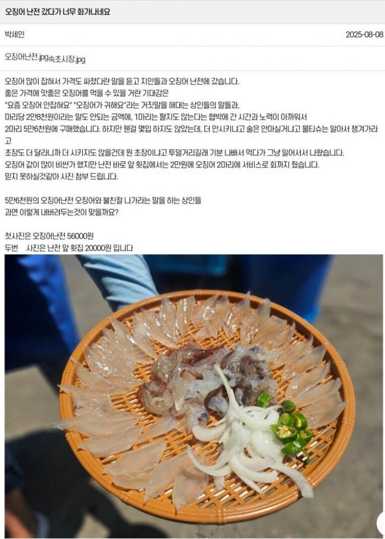 속초 한마리당 2만 8천원 오징어회 클라스ㄷㄷㄷㄷㄷ